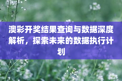 澳彩开奖结果查询与数据深度解析，探索未来的数据执行计划