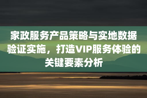 家政服务产品策略与实地数据验证实施，打造VIP服务体验的关键要素分析