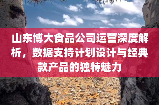 山东博大食品公司运营深度解析，数据支持计划设计与经典款产品的独特魅力