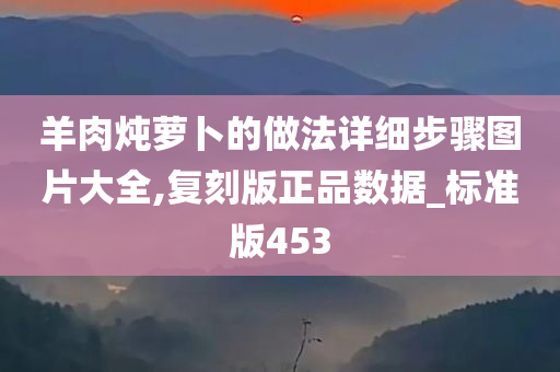 羊肉炖萝卜的做法详细步骤图片大全,复刻版正品数据_标准版453