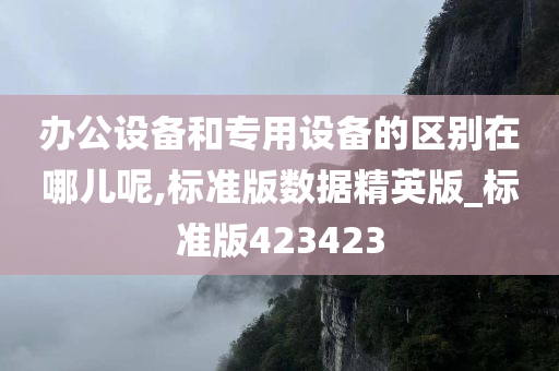 办公设备和专用设备的区别在哪儿呢,标准版数据精英版_标准版423423