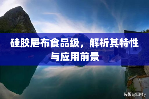 硅胶屉布食品级，解析其特性与应用前景