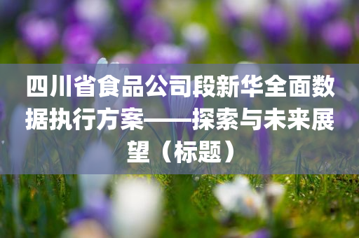 四川省食品公司段新华全面数据执行方案——探索与未来展望（标题）