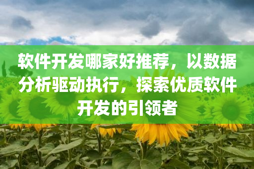 软件开发哪家好推荐，以数据分析驱动执行，探索优质软件开发的引领者