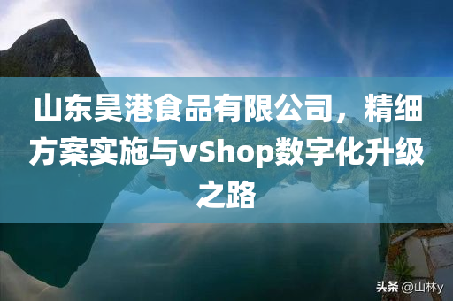 山东昊港食品有限公司，精细方案实施与vShop数字化升级之路