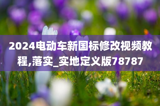 2024电动车新国标修改视频教程,落实_实地定义版78787