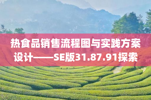 热食品销售流程图与实践方案设计——SE版31.87.91探索