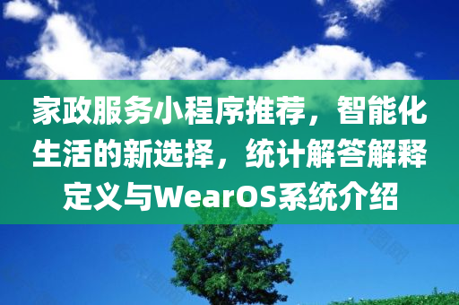 家政服务小程序推荐，智能化生活的新选择，统计解答解释定义与WearOS系统介绍