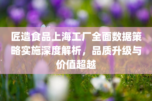 匠造食品上海工厂全面数据策略实施深度解析，品质升级与价值超越