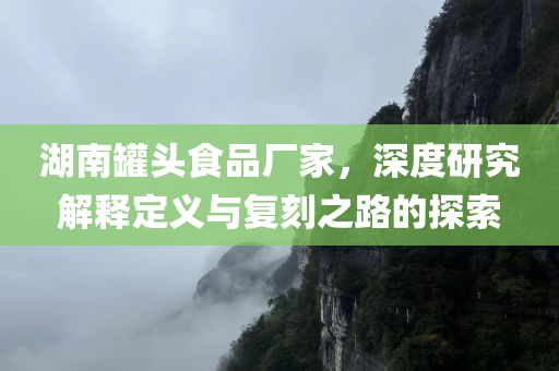 湖南罐头食品厂家，深度研究解释定义与复刻之路的探索