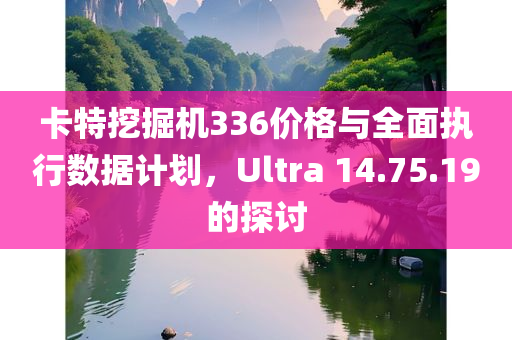 卡特挖掘机336价格与全面执行数据计划，Ultra 14.75.19的探讨