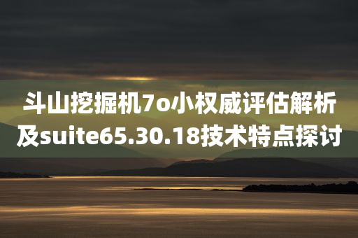 斗山挖掘机7o小权威评估解析及suite65.30.18技术特点探讨