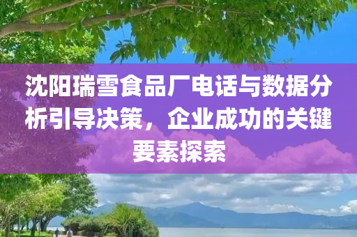 沈阳瑞雪食品厂电话与数据分析引导决策，企业成功的关键要素探索