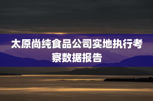 太原尚纯食品公司实地执行考察数据报告