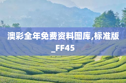 澳彩全年免费资料图库,标准版_FF45