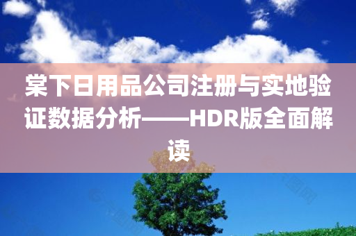 棠下日用品公司注册与实地验证数据分析——HDR版全面解读