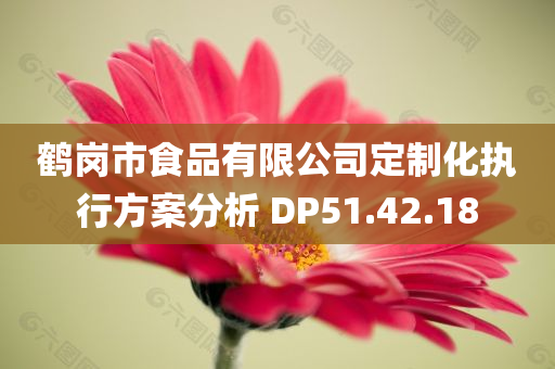 鹤岗市食品有限公司定制化执行方案分析 DP51.42.18