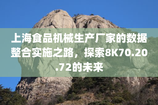 上海食品机械生产厂家的数据整合实施之路，探索8K70.20.72的未来