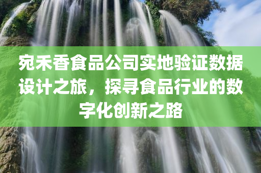 宛禾香食品公司实地验证数据设计之旅，探寻食品行业的数字化创新之路