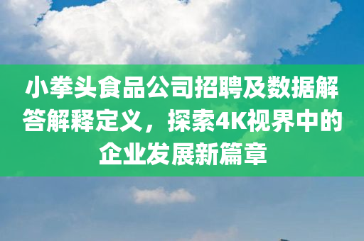 小拳头食品公司招聘及数据解答解释定义，探索4K视界中的企业发展新篇章