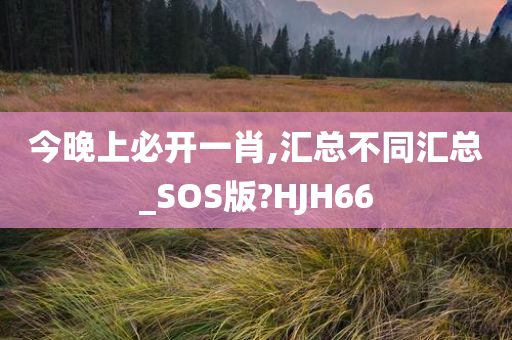 今晚上必开一肖,汇总不同汇总_SOS版?HJH66