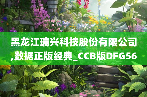 黑龙江瑞兴科技股份有限公司,数据正版经典_CCB版DFG56