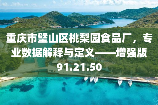 重庆市璧山区桃梨园食品厂，专业数据解释与定义——增强版91.21.50