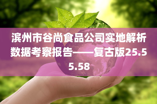 滨州市谷尚食品公司实地解析数据考察报告——复古版25.55.58