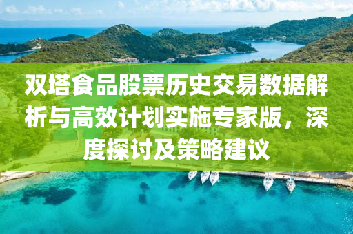 双塔食品股票历史交易数据解析与高效计划实施专家版，深度探讨及策略建议