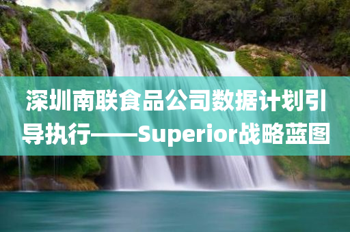 深圳南联食品公司数据计划引导执行——Superior战略蓝图