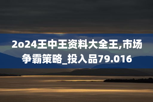 2o24王中王资料大全王,市场争霸策略_投入品79.016