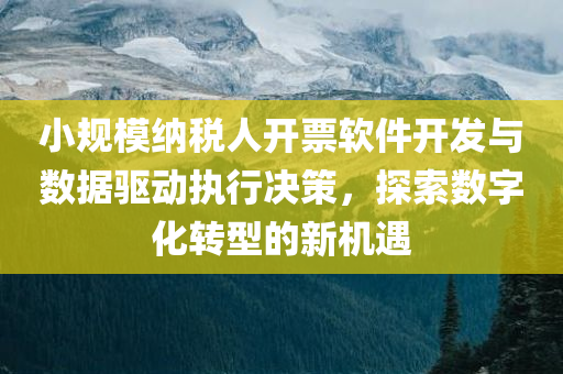 小规模纳税人开票软件开发与数据驱动执行决策，探索数字化转型的新机遇