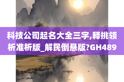 科技公司起名大全三字,释挑领析准析版_解民倒悬版?GH489