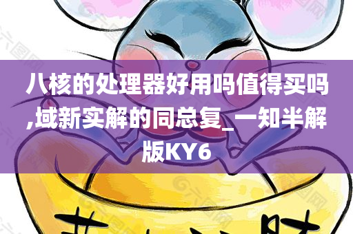 八核的处理器好用吗值得买吗,域新实解的同总复_一知半解版KY6