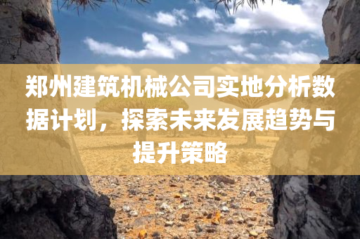 郑州建筑机械公司实地分析数据计划，探索未来发展趋势与提升策略