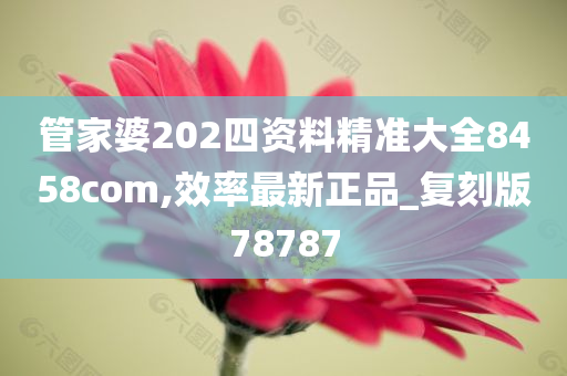 管家婆202四资料精准大全8458com,效率最新正品_复刻版78787