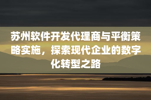 苏州软件开发代理商与平衡策略实施，探索现代企业的数字化转型之路