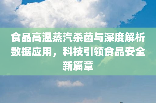 食品高温蒸汽杀菌与深度解析数据应用，科技引领食品安全新篇章