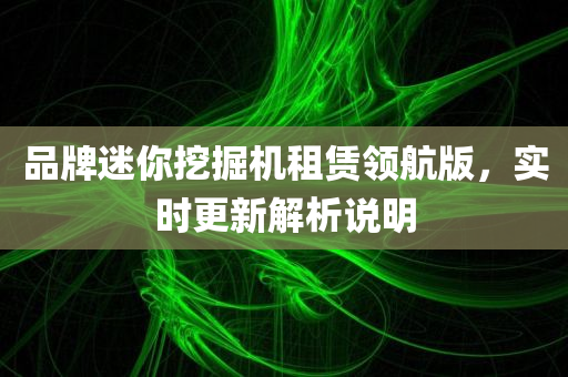 品牌迷你挖掘机租赁领航版，实时更新解析说明