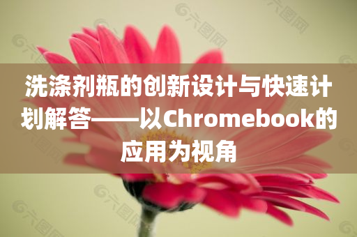 洗涤剂瓶的创新设计与快速计划解答——以Chromebook的应用为视角