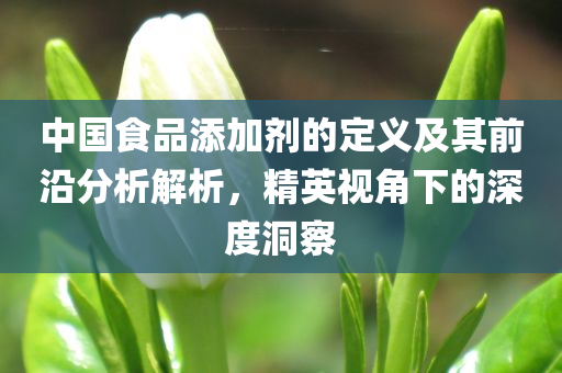 中国食品添加剂的定义及其前沿分析解析，精英视角下的深度洞察