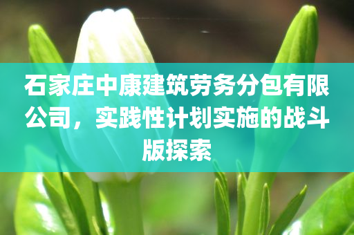 石家庄中康建筑劳务分包有限公司，实践性计划实施的战斗版探索