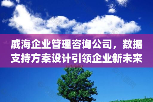 威海企业管理咨询公司，数据支持方案设计引领企业新未来