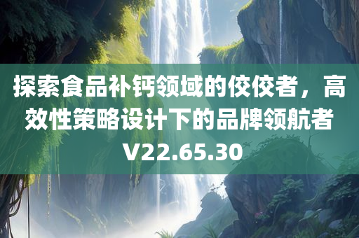 探索食品补钙领域的佼佼者，高效性策略设计下的品牌领航者 V22.65.30