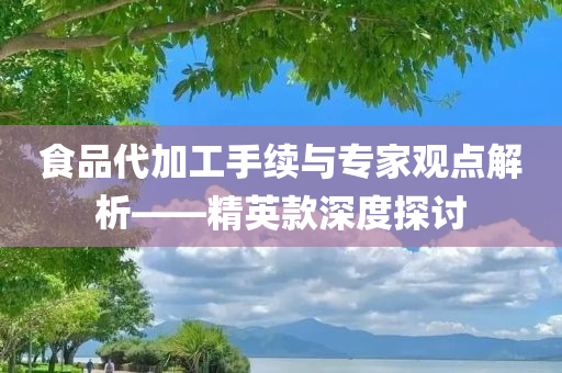 食品代加工手续与专家观点解析——精英款深度探讨