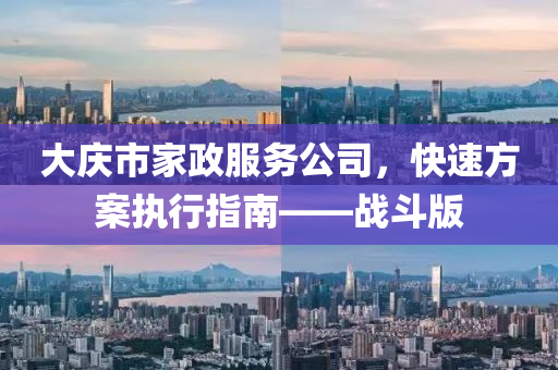 大庆市家政服务公司，快速方案执行指南——战斗版