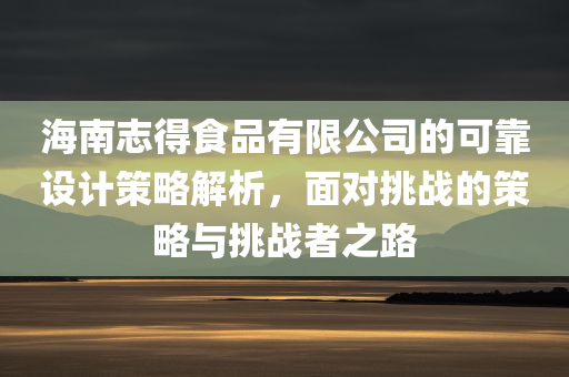 海南志得食品有限公司的可靠设计策略解析，面对挑战的策略与挑战者之路