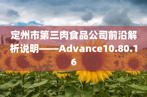 定州市第三肉食品公司前沿解析说明——Advance10.80.16