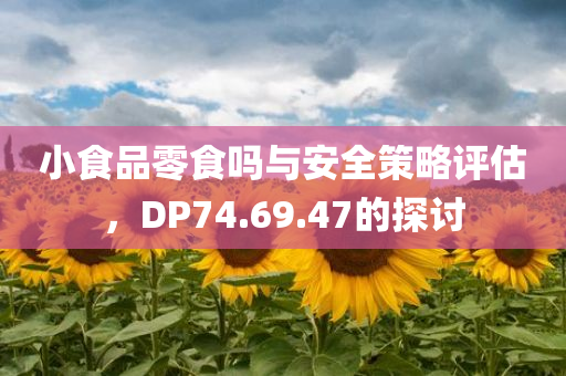 小食品零食吗与安全策略评估，DP74.69.47的探讨