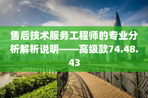 售后技术服务工程师的专业分析解析说明——高级款74.48.43